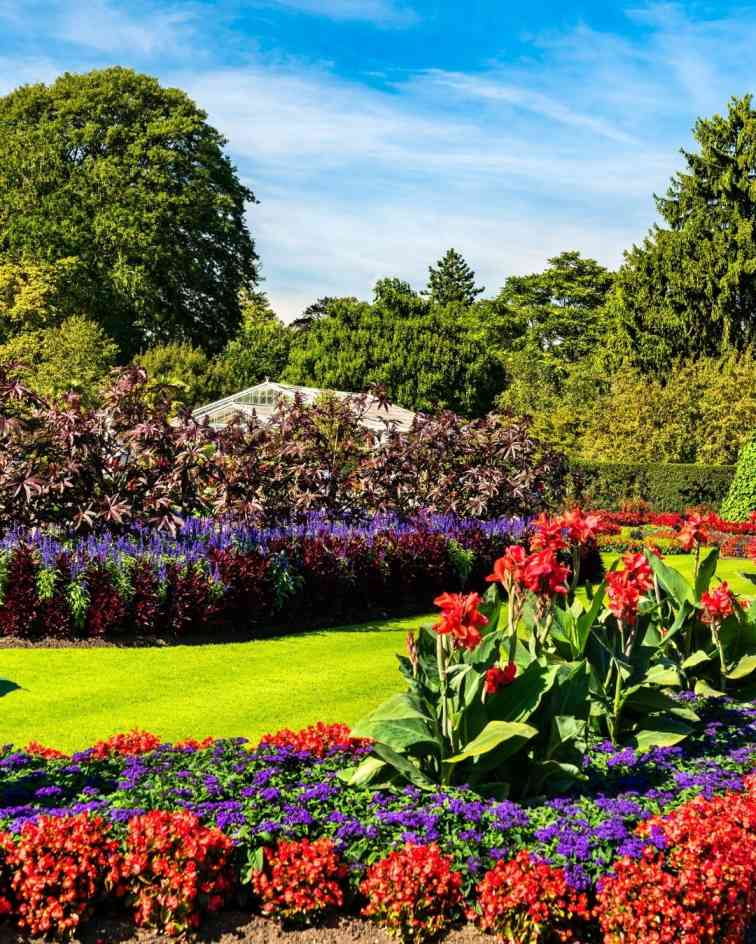 Kew Gardens orchid festival